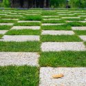 Gazon in parcul Alexandru Ioan Cuza ( Titan, IOR )