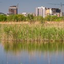 Orasul in constructie - Delta Vacaresti - Lacul Vacaresti