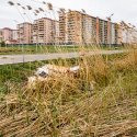 Confort City - Popești-Leordeni