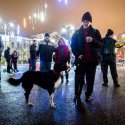 Protest împotriva corupției - Piața Victoriei