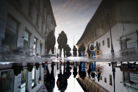 Reflexie
