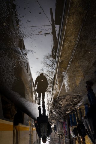 Reflexie