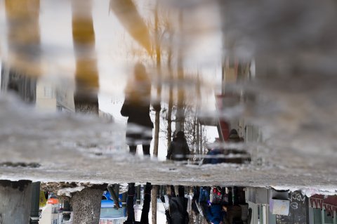 Reflexie