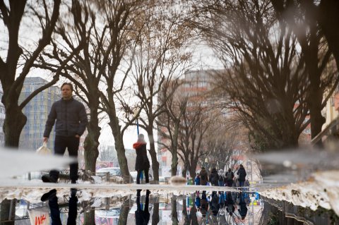 Reflexie