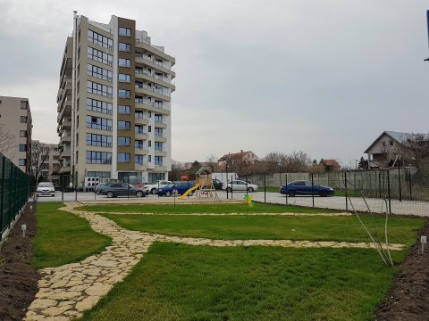 O oază de normalitate
