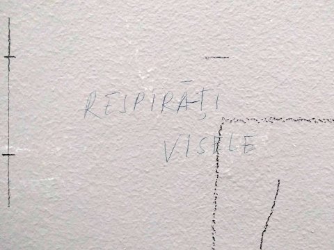 Graffiti pe scarile interioare ale MNAC