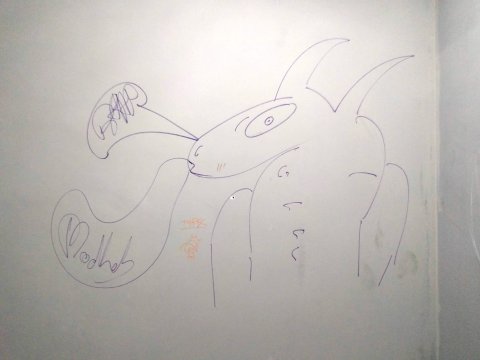 Graffiti pe scarile interioare ale MNAC