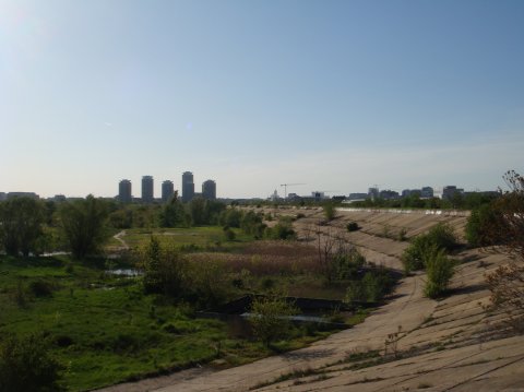 Parcul Natural Vacaresti